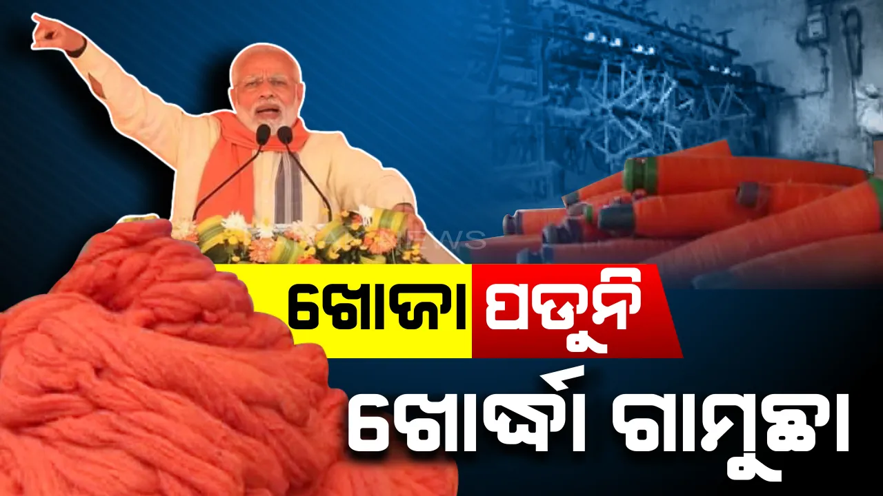  ଖୋର୍ଦ୍ଧା ଗାମୁଛାକୁ ଖୋଜୁଛି କିଏ ? ଦିନେ ମୋଦିଙ୍କ କାନ୍ଧରେ ପଡିଥିଲା, ଏବେ ଅଲୋଡା ପାଲଟିଲା । ଖତ ଖାଇବ କି ଖୋର୍ଦ୍ଧା ଗାମୁଛା ?