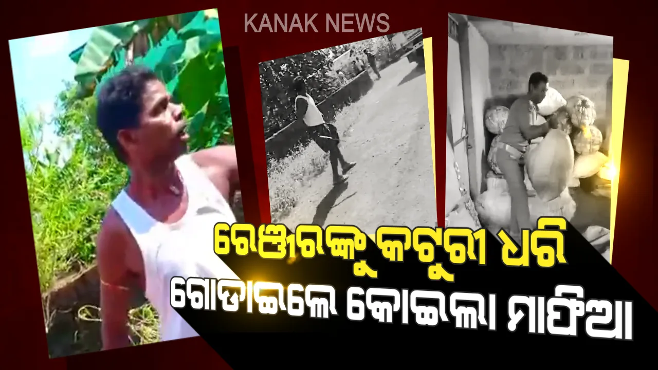  କୋଇଲା ମାଫିଆଙ୍କ ଆତଙ୍କରାଜ । ବନବିଭାଗ କର୍ମଚାରୀଙ୍କୁ କଟୁରୀ ଧରି ଗୋଡାଇଲେ, ଗାଡିକୁ ଢେଲା ମାରି ଭାଙ୍ଗିଲେ ।