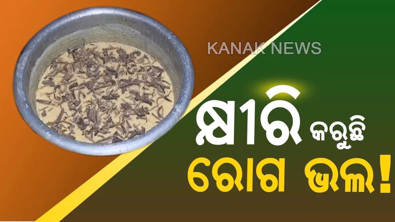  ବିଶ୍ୱାସ କୁହନ୍ତୁ ଅବା ଚମତ୍କାର...ରୋଗ ଭଲ କରୁଛି କ୍ଷୀରି ଭୋଗ ! କଟକରେ ଆଜମା ପାଇଁ ମହୋଷଧି ସାଜିଛି କ୍ଷୀରି