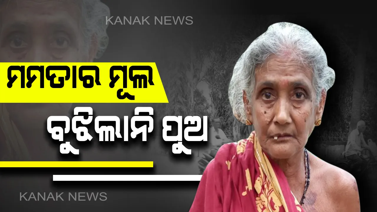  ସନ୍ତାନ ପାଇଁ ଅଲୋଡା ମାଆ...ସ୍ତ୍ରୀ ସହ ମିଶି ଅସହାୟ ବୁଢୀ ମାଆକୁ ଗାଁ ଦାଣ୍ଡରେ ଗୋଡାଇ ଗୋଡାଇ ପିଟିଲା ଅଲାଜୁକ ପୁଅ