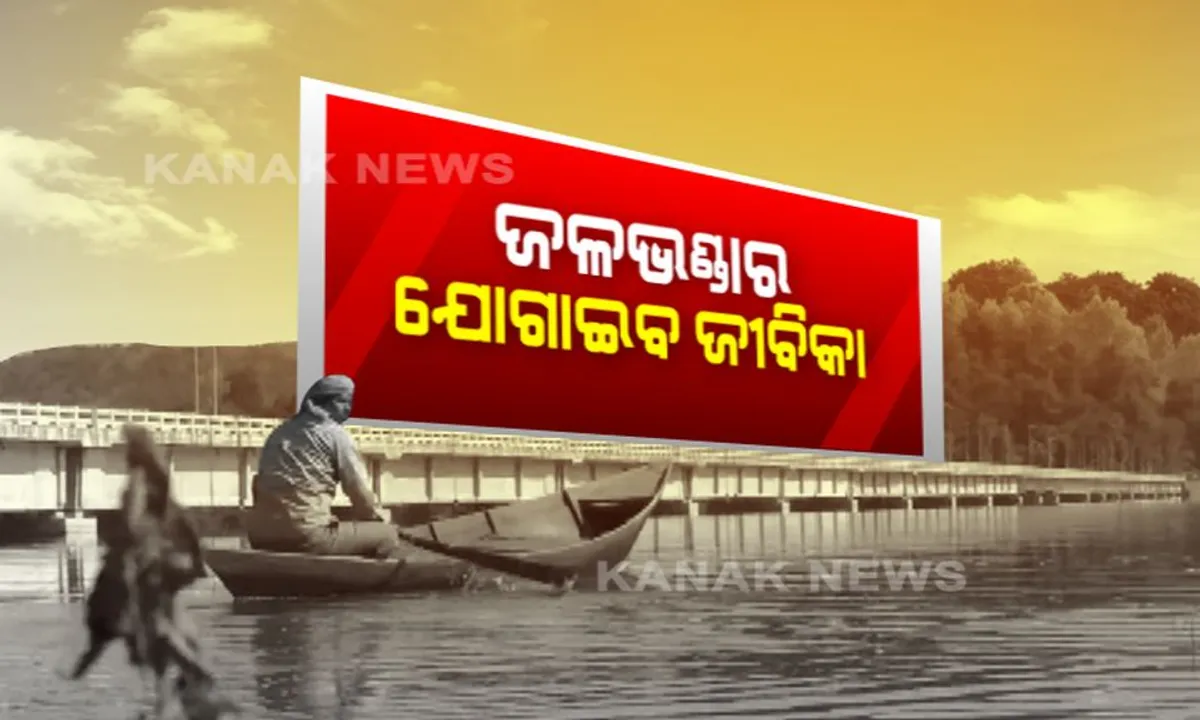 ସ୍ୱାଭିମାନ ଅଂଚଳବାସୀଙ୍କୁ ସ୍ୱାବଲମ୍ବୀ କରିବ ମାଛ । ଜୀବିକା ଯୋଗାଇବାକୁ ସରକାର ଛାଡିବେ ଯାଆଁଳା, ଧରିବେ ବିକିବେ ଆଦିବାସୀ ।