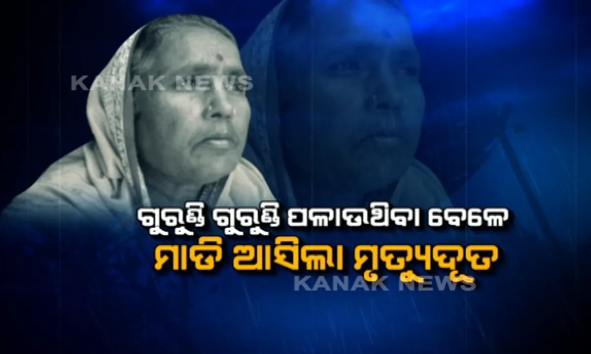  ୧୯୯୯ ମହାବାତ୍ୟାକୁ ପୂରିଲା ୨୦ ବର୍ଷ । ଘା’ ଶୁଖିଛି ହେଲେ ଚିହ୍ନ ଯାଇନି, ପ୍ରଳୟକୁ ପାଖରୁ ଦେଖିଥିବା ଲୋକେ ବଖାଣିଲେ କେମିତିଥିଲା ବାତ୍ୟାର ବିକଟାଳ ରୂପ
