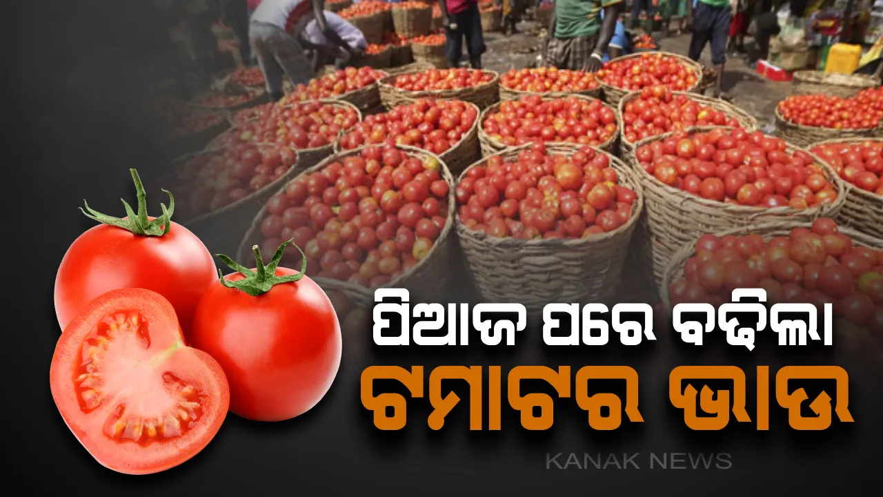  ପିଆଜ ତ ବଢିଲା ଟମାଟ କାଇଁ ଛାଡିବ ! ୮୦ ଟଙ୍କାରେ ପହଁଚିଲା ଟମାଟର ଦର , ଜାଣନ୍ତୁ କାହିଁକି ବଢୁଛି ପରିବାର ଦାମ୍ ? 