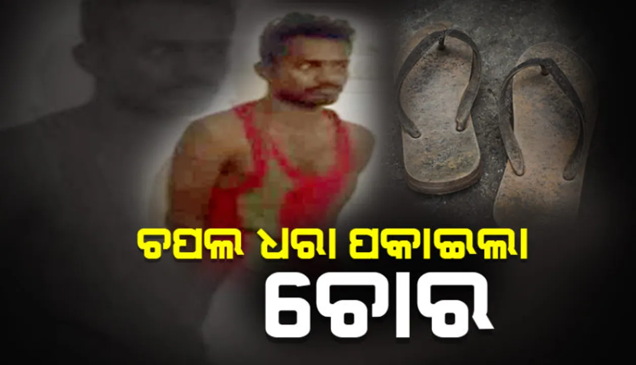  ଚୋରକୁ ଧରାଇଲା ଚପଲ । ଘରେ ପଶି ଚୋରି କରି ଚମ୍ପଟ୍ ମାରିଥିଲା ଚୋର । ଛାଡିଯାଇଥିବା ଚପଲ ଦେଲା ଚୋରର ଠିକଣା, ଗିରଫ କଲା ପୋଲିସ ।