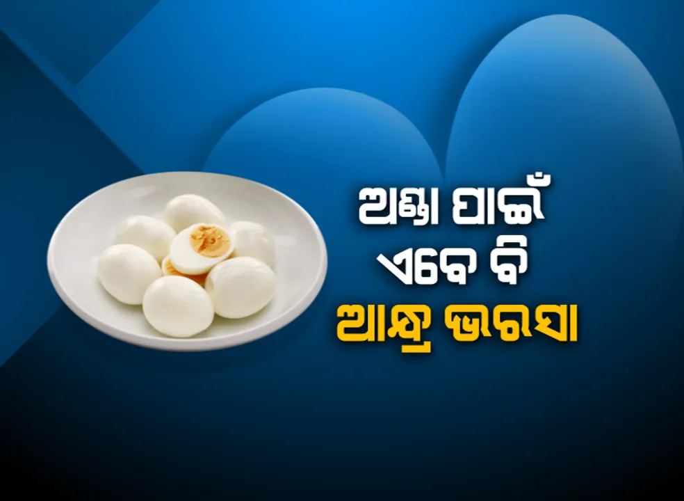  ଅଣ୍ଡା ପାଇଁ  ଆନ୍ଧ୍ର ଭରସା : ଆବଶ୍ୟକ ତୁଳନାରେ ଓଡ଼ିଶାରେ ଉତ୍ପାଦନ ହୋଇପାରୁନି ଅଣ୍ଡା, ଦୈନିକ ୮୫ ଲକ୍ଷ ଆବଶ୍ୟକ ଥିବା ବେଳେ ରାଜ୍ୟରେ ମିଳୁଛି କେବଳ ୬୫ ଲକ୍ଷ