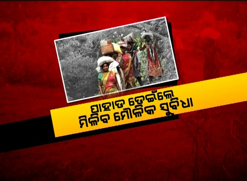  ପାହାଡ ଡେଇଁଲେ ପେଟ ପୂରିବ । ୩ଟି ପାହାଡ, ୨ଟି ନାଳ ପାରିହେଲେ ମିଳୁଛି ଡାଲି, ଚାଉଳ ଓ ଭତ୍ତା । ଜୀବନ ଜୀବିକା ପାଇଁ ସଂଘର୍ଷ କରୁଛନ୍ତି ୪୨ ଆଦିବାସୀ ପରିବାର