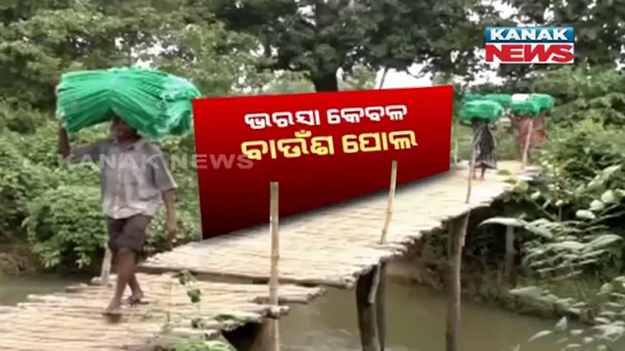  ନଦୀ ପାରି ପାଇଁ ବାଉଁଶ ପୋଲ ସାହାରା : ଦୁଃଖ ବୁଝୁନି ପ୍ରଶାସନ, ବିପଦସଙ୍କୁଳ ଅବସ୍ଥାରେ ଯାତାୟାତ କରୁଛନ୍ତି ଲୋକେ 