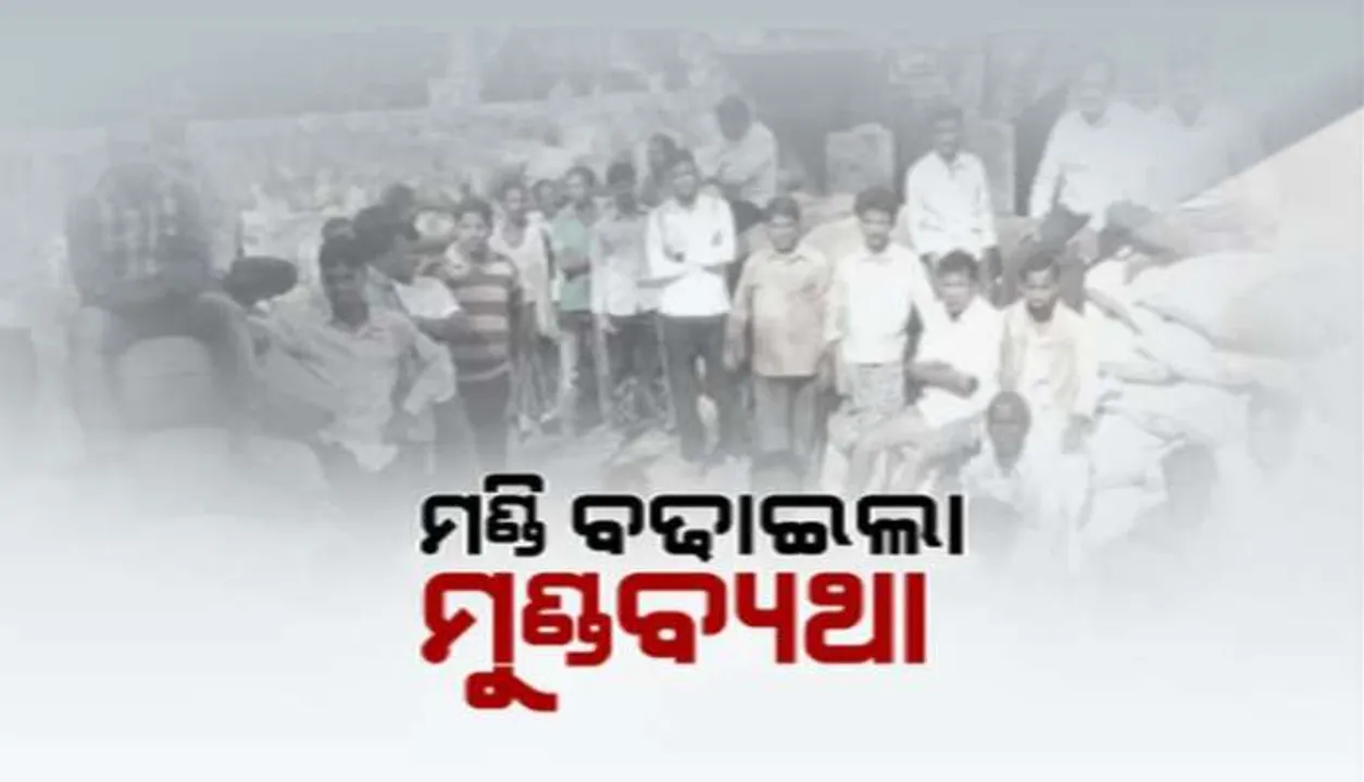  ମଣ୍ଡି ଖୋଲିଛି ଧାନ ଉଠୁନି : ଟୋକନ୍ ଅପେକ୍ଷାରେ ଚାଷୀ, ଖଳାରେ ଧାନ