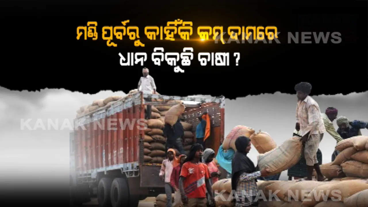  ଶୋଷଣର ଶିକାର ଚାଷୀ : ଜାଲ ବିଛାଇ ଛକିଛନ୍ତି ମିଲ୍ ମାଲିକ ଓ ଦଲାଲ, କମ୍ ଦାମରେ ଧାନ ବିକିବାକୁ ବାଧ୍ୟ ଚାଷୀ