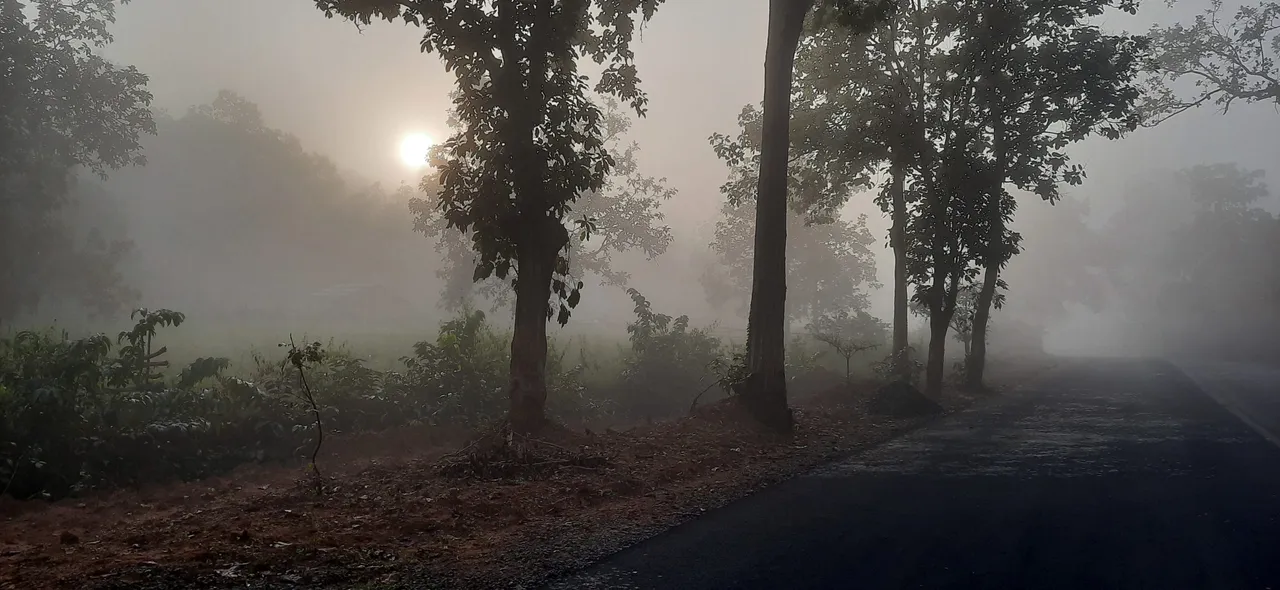 ୨ରୁ ୩ଦିନ ଭିତରେ ଆଭ୍ୟନ୍ତରୀଣ ଓଡ଼ିଶାରେ ପଡ଼ିବ କୁହୁଡ଼ି: ଗୋଟିଏ ଦୁଇଟି ସ୍ଥାନରେ ଏକ ଡିଗ୍ରି ପର୍ଯ୍ୟନ୍ତ ହ୍ରାସ ପାଇପାରେ ତାପମାତ୍ରା
