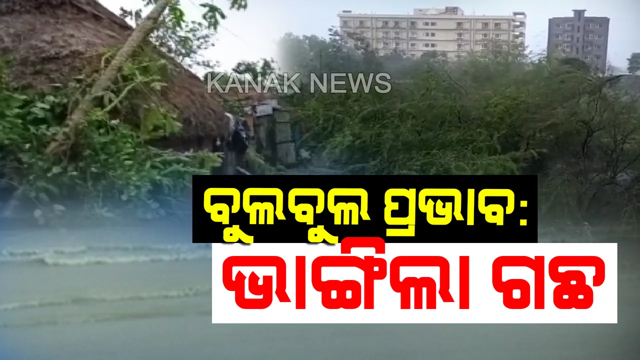  ଓଡିଶାରେ ‘ବୁଲବୁଲ’ର ପ୍ରଭାବ: ରାଜ୍ୟର ବିଭିନ୍ନ ସ୍ଥାନରେ ବର୍ଷା ଜାରି; ପବନ ମାଡରେ କେନ୍ଦ୍ରାପଡା ଓ  ଚାନ୍ଦବାଲିରେ ଭାଙ୍ଗିଲା ଗଛ, ଉଡିଲା ଛପର