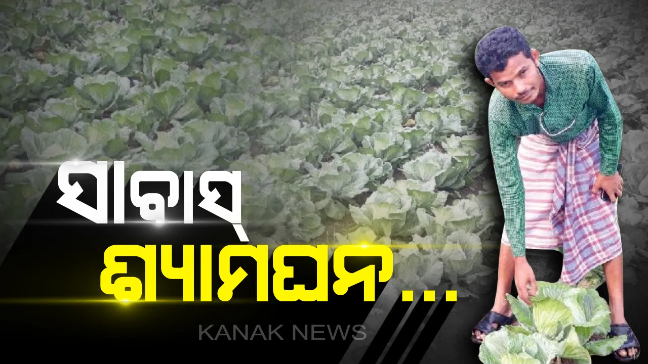  ଗାଁ ପାଇଁ ଗୌରବ ଶ୍ୟାମଘନ...ଉଚ୍ଚ ଶିକ୍ଷିତ ହୋଇବି ଚାକିରି ବଦଳରେ କରୁଛନ୍ତି ଚାଷ...ଜୈବିକ ପଦ୍ଧତିରେ ଫସଲ ଫଳାଇ ନିଜେ ସ୍ୱାବଲମ୍ବୀ ହେବା ସହ ଅନେକଙ୍କୁ ଦେଉଛନ୍ତି ରୋଜଗାର