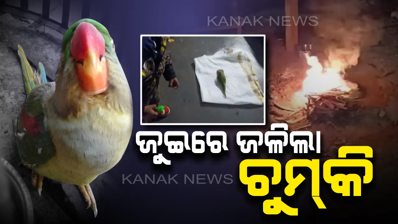  ଜୁଇରେ ଜଳିଲା ଚୁମକି : ୩୫ ବର୍ଷ ପରେ ସମସ୍ତଙ୍କୁ ପର କରି ଚାଲିଗଲା ଶୁଆ ଚୁମକି, ହିନ୍ଦୁ ରୀତିନୀତି ଅନୁସାରେ ହେଲା ଶବ ସତ୍କାର
