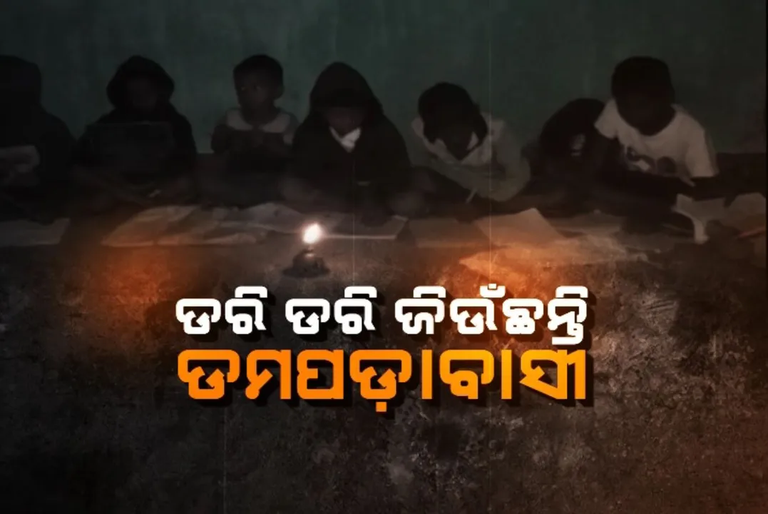  ଅବହେଳିତ ଅଭୟାରଣ୍ୟ ବାସିନ୍ଦା । ବିଜୁଳି ନାହିଁ କି ରାସ୍ତା ନାହିିଁ, ଗୋଳିଆ ପାଣିକୁ ଛାଣି ପିଉଛନ୍ତି ଲୋକେ । ଜଙ୍ଗଲ ଭିତରେ କନକ ନ୍ୟୁଜର ରିଅଲିଟି ଚେକ୍