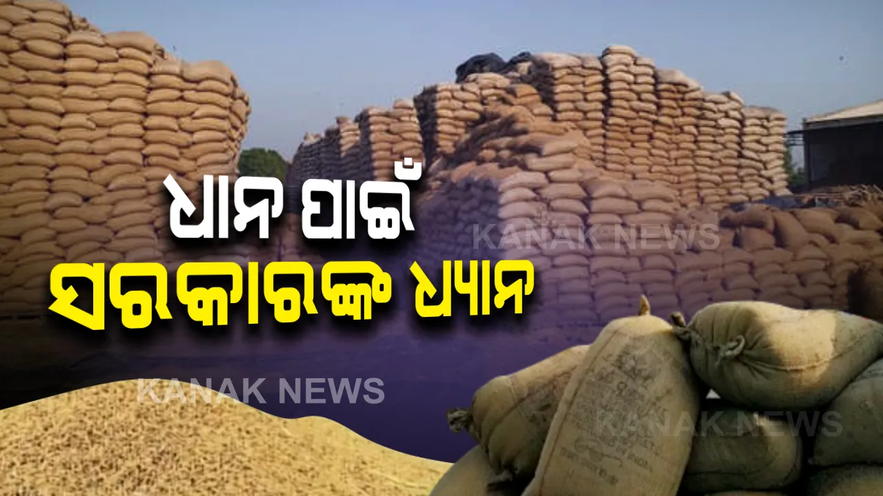  ଖରିଫ ଧାନ ସଂଗ୍ରହ ପାଇଁ ତତ୍ପରତା : ବଳକା ଧାନ ବି କିଣିବେ ରାଜ୍ୟ ସରକାର,ନିର୍ଦ୍ଧିଷ୍ଟ ଅଭିଯୋଗ ପାଇଁ ହେଲ୍ପଲାଇନ୍ ୧୯୬୭