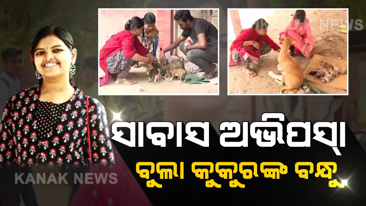  ରାସ୍ତା କଡର ବୁଲା କୁକୁରଙ୍କ ପାଇଁ ଦେବଦୂତ ସାଜିଛନ୍ତି ରେଭେନ୍ସା ଟପ୍ପର । ମା’ ଭଳି ସେବା କରନ୍ତି, ପକେଟ ଖର୍ଚ୍ଚରେ କୁକୁରଙ୍କ ପେଟ ପୂରାନ୍ତି ।