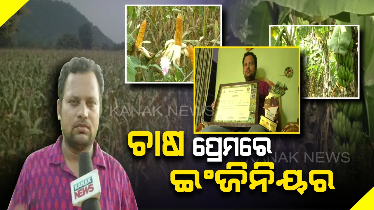  ଚାଷ ପ୍ରେମରେ ଯୁବ ଇଂଜିନିୟର...ଚାକିରି ପଛରେ ନଦୌଡି ଚାଷକୁ ଆପଣାଇଛନ୍ତି ବଲାଙ୍ଗୀରର ମନ୍ମୟ କୁମାର...ଜୈବିକ ପଦ୍ଧତିରେ ଚାଷ କରି ବାର୍ଷିକ କରୁଛନ୍ତି ଲକ୍ଷଲକ୍ଷ ଟଙ୍କାର ଆୟ