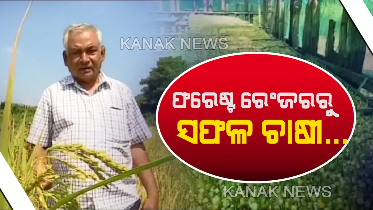  ଦିନେ ଥିଲେ ଫରେଷ୍ଟ ରେଂଜର, ଆଜି ପାଲଟିଛନ୍ତି ସଫଳ ଚାଷୀ...ଟାଙ୍ଗରା ଭୂଇଁରେ ୨୭୮ କିସମର ଧାନ ଚାଷ କରି ସୁନାର ଫସଲ ଫଳାଇଛନ୍ତି କୋରାପୁଟର ନେତ୍ରାନନ୍ଦ