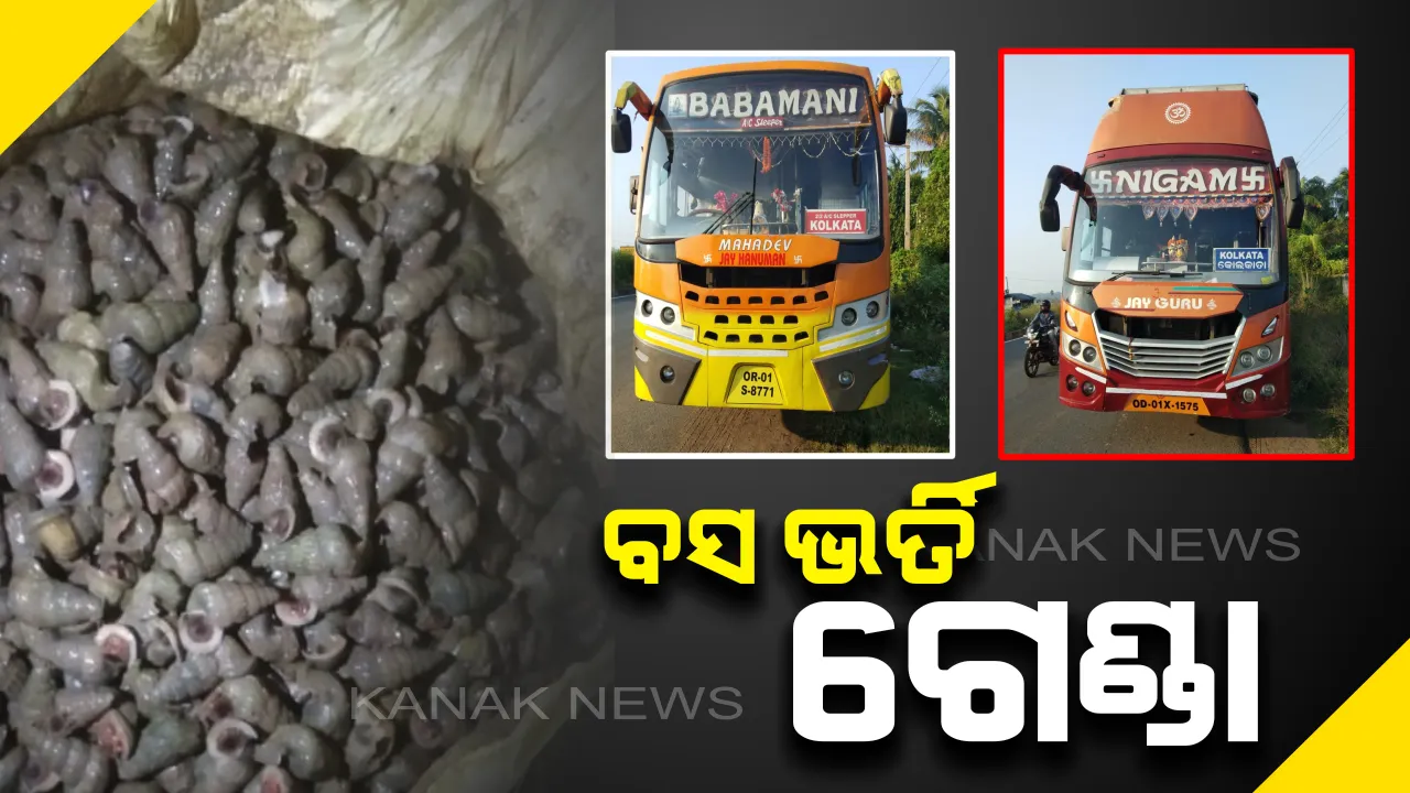  ବାଲେଶ୍ୱରରେ ବସରୁ ଜବତ ହେଲା ଶହ ଶହ ବସ୍ତା ଗେଣ୍ଡା : କୋଲକାତା ଚାଲାଣ ହେଉଥିବା ସନ୍ଦେହ, ସେରଗଡ ଟୋଲଗେଟ ନିକଟରେ ଧରିଲା ପୋଲିସ