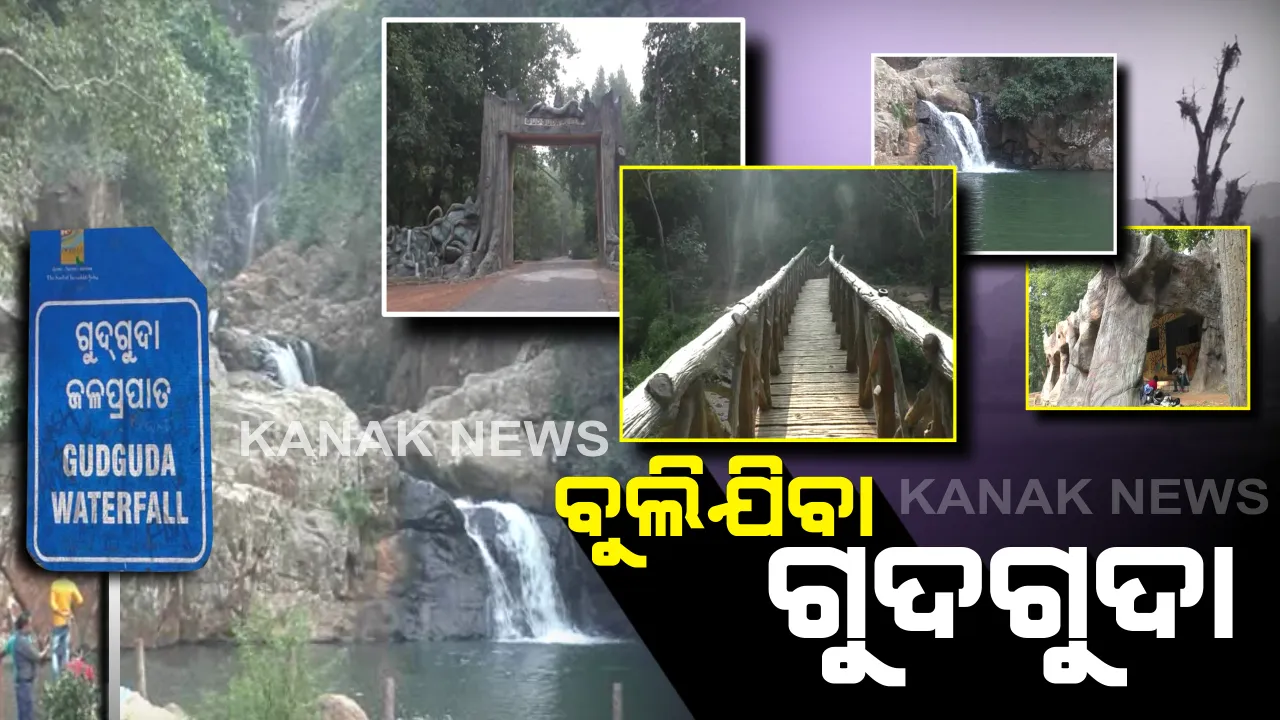  ଆସନ୍ତୁ ବୁଲିଯିବା ଗୁଦଗୁଦା ଜଳପ୍ରପାତ : ଜଳଧାରର କୁଳୁକୁଳୁ ନାଦ ସାଙ୍ଗକୁ ପକ୍ଷୀଙ୍କ କାକଳି, ବ୍ୟସ୍ତ ବହୁଳ ଜୀବନରୁ ସାମୟିକ ବିରତି ପାଇଁ ଅତ୍ୟନ୍ତ ମନୋରମ ସ୍ଥାନ