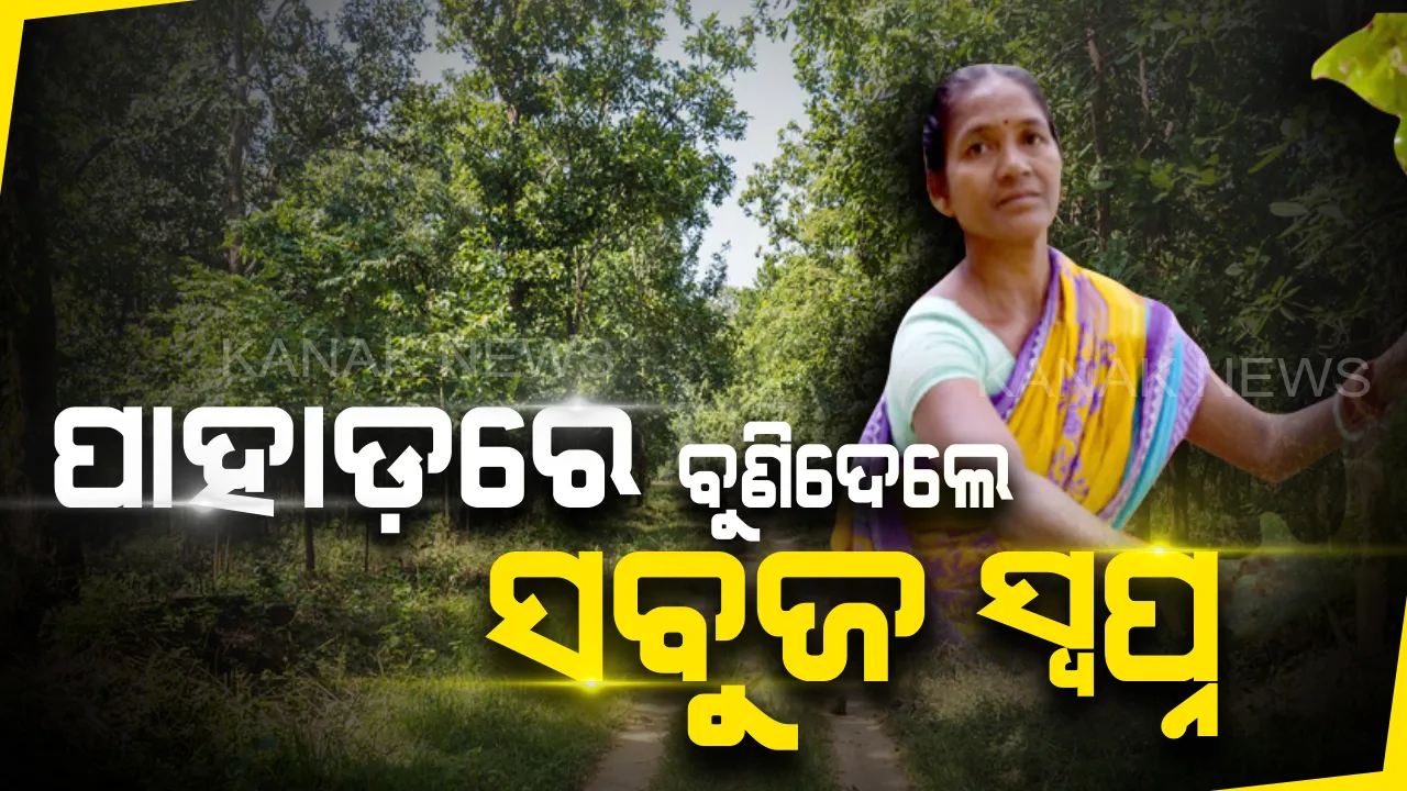  ଆଦିବାସୀ ମହିଳାଙ୍କ ପାଇଁ ପ୍ରେରଣାର ଉତ୍ସ : ଟସର ଚାଷ କରି ନିଜେ ଲକ୍ଷପତି ହେବା ସହ ହଜାର ହଜାର ମହିଳାଙ୍କୁ ସ୍ବାବଲମ୍ବୀ କରାଇ ବଞ୍ଚିବାର ରାହା ଦେଖାଇଛନ୍ତି ଜଙ୍ଗଲୀ ଗାଁର ଦ୍ରୌପଦୀ
