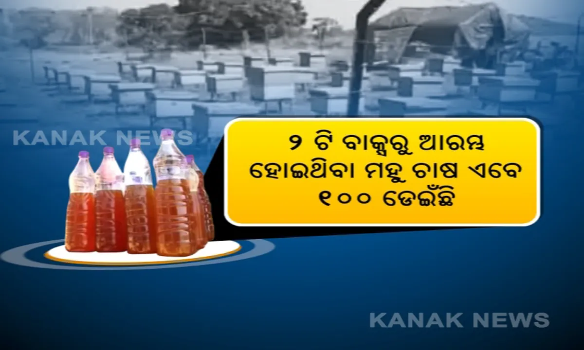  ସ୍ୱାବଲମ୍ବୀ କରିଛି ମହୁ ଚାଷ । ବାର୍ଷିକ ୨ରୁ ୩ ଲକ୍ଷ ଟଙ୍କା ରୋଜଗାର କରୁଛନ୍ତି, ୨୦ରୁ ଅଧିକ ଶ୍ରମିକଙ୍କୁ ନିଯୁକ୍ତି ଦେଇଛନ୍ତି ନନ୍ଦପୁରର ଯୁବଚାଷୀ ନିତାଇ ।