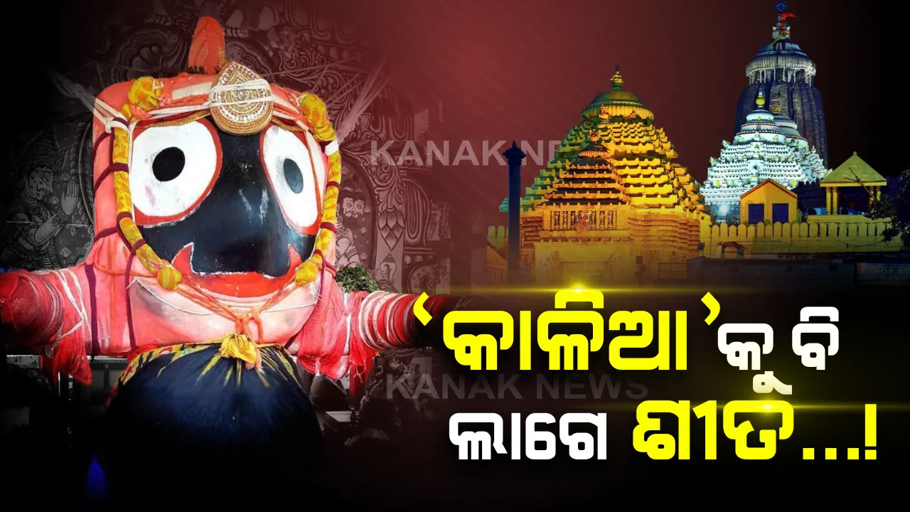  ‘କାଳିଆ’କୁ ବି ହୁଏ ଶୀତ ! ଓଢଣଷଷ୍ଠୀରୁ ଶ୍ରୀଜିଉଙ୍କ ଶ୍ରୀଅଙ୍ଗରେ ଲାଗିହୁଏ ଶୀତବସ୍ତ୍ର...ଖଣ୍ଡୁଆପାଟ, ମଖମଲି ଘୋଡାବସ୍ତ୍ର ଓ ଶିରାବରଣରେ ଆବରଣ ହୁଅନ୍ତି ପ୍ରଭୁ ଶ୍ରୀଜଗନ୍ନାଥ