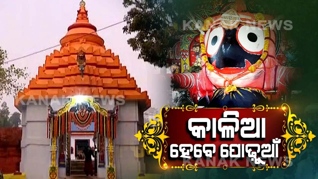  ପୋଢ଼ୁଆଁ ହେବେ କାଳିଆ : ଆସନ୍ତାକାଲି ପ୍ରଥମାଷ୍ଟମୀ ହୋଇଥିବାରୁ ଜଗନ୍ନାଥଙ୍କ ମାମୁଁଘର ନିଆଳି ମାଧବ ମନ୍ଦିର ଚଳଚଞ୍ଚଳ,ଭଣଜା ପାଇଁ ଯିବ ଭାର ଓ ନୂଆ ବସ୍ତ୍ର