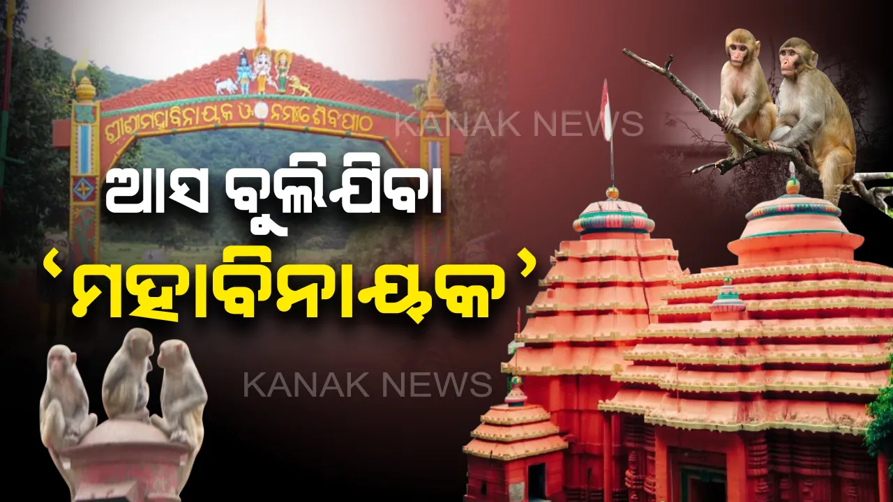  ପ୍ରାକୃତିକ ସୌନ୍ଦର୍ଯ୍ୟରେ ପରିପୂର୍ଣ୍ଣ ମହାବିନାୟକ ପୀଠ । ଝରଣାର କୁଳୁକୁଳ ନାଦ, ମାଙ୍କଡ ଓ ପକ୍ଷୀଙ୍କ କଳରବ ପରିବେଶକୁ କରୁଛି ଆହୁରି ମନୋରମ । ବର୍ଷକ ବାରମାସ ଲାଗିଥାଏ ପର୍ଯ୍ୟଟକଙ୍କ ଭିଡ