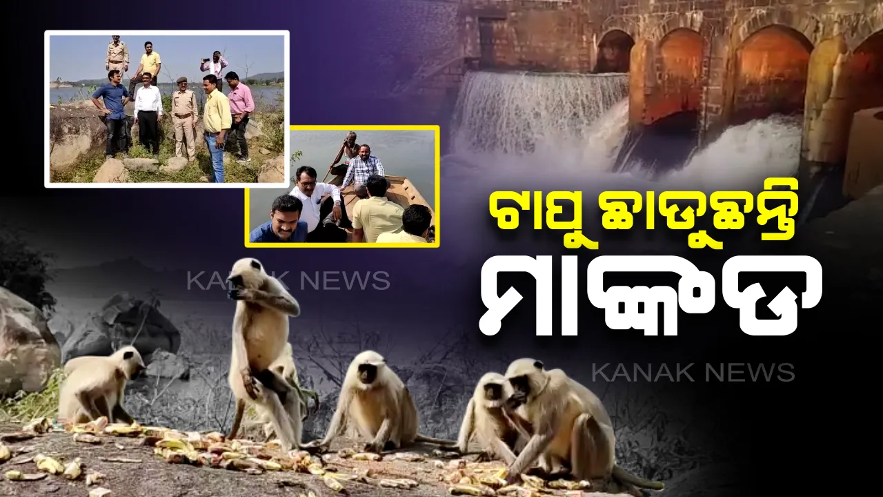  ପାଣି କମିବା ପରେ ଧୀରେ ଧୀରେ ଟାପୁ ଛାଡୁୁଛନ୍ତି ମାଙ୍କଡ : ଜଳବନ୍ଦୀ ମାଙ୍କଡକୁ ଉଦ୍ଧାର କରିବାକୁ ଛତିଶଗଡରେ ଜୋର ଧରିଛି ବଡ ଅପରେସନ, ଦୁଧିଆ ଜଳଭଣ୍ଡାରରୁ ନିଷ୍କାସନ କରାଯାଉଛି ପାଣି 