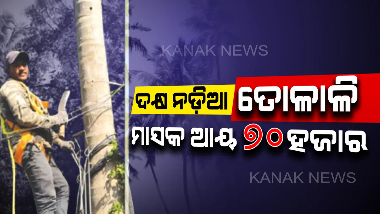  ଭାଗ୍ୟ ବଦଳାଇଦେଲା ୟୁଟ୍ୟୁବ୍ : ଦାଦନ ଖଟିବା ଛାଡ଼ି ଚାଷ କରିବା ସହ ଦକ୍ଷ ନଡ଼ିଆ ତୋଳାଳି ପାଟିଛନ୍ତି ଡିଲି, ମାସକୁ ପ୍ରାୟ ୭୦ ହଜାର ଟଙ୍କା ରୋଜଗାର କରୁଛନ୍ତି ଗଞ୍ଜାମ ଜିଲ୍ଲାର ଯୁବକ