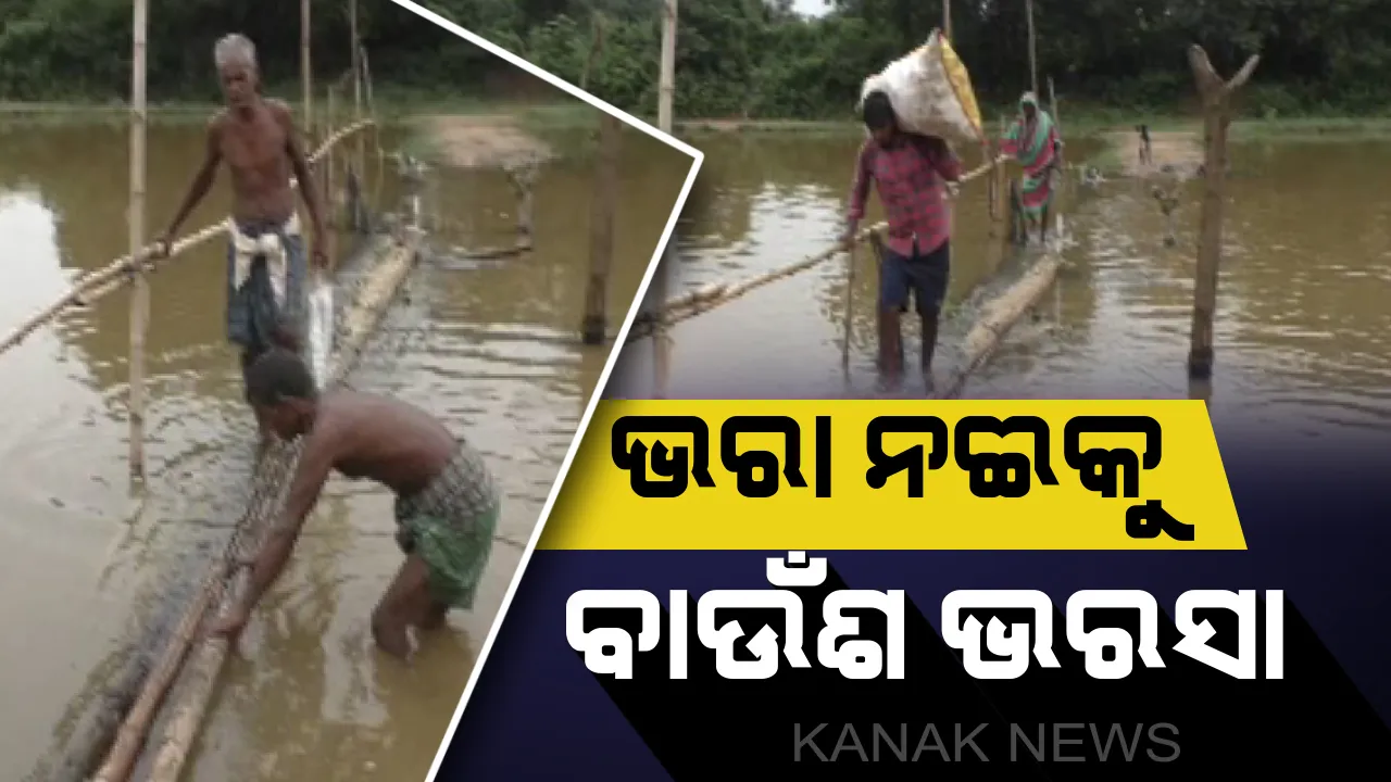  ନଈ ବଢିଲେ, ବଢୁଛି ଦୁର୍ଦଶା: ସାରା ଗାଁକୁ ବାଉଁଶ ଭରସା । ଲୋକଙ୍କ ଗୁହାରୀ କେବେ ଶୁଣିବ ପ୍ରଶାସନ ?