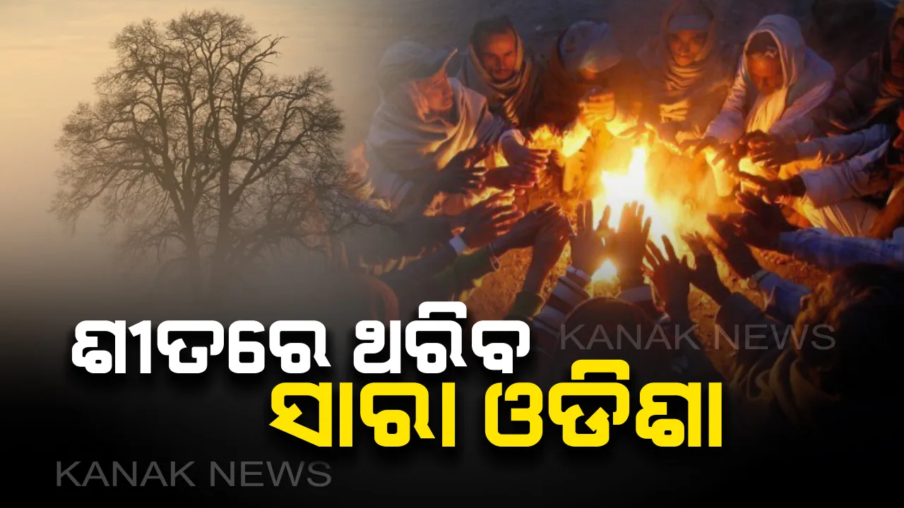  ପୁଣି ଥରାଇବ ଥଣ୍ଡା ! ଜାନୁଆରୀରୁ ବଢିବ ଶୀତର ପ୍ରକୋପ: ୪୮ ଘଂଟା ଭିତରେ ସାରା ରାଜ୍ୟରେ ୩ରୁ ୫ ଡିଗ୍ରୀ ପର୍ଯ୍ୟନ୍ତ କମିବ ତାପମାତ୍ରା