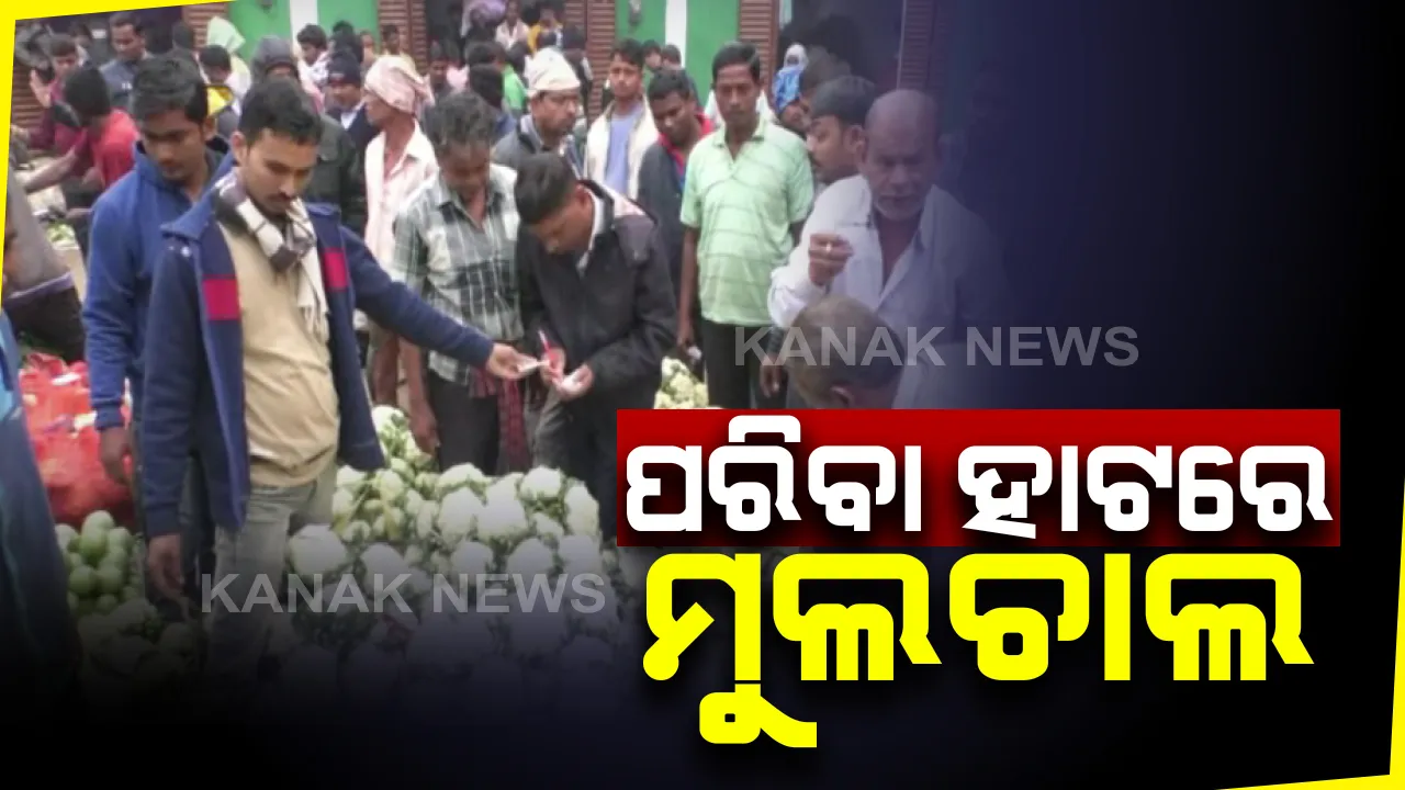  କେମିତି ହୁଏ ପରିବା ବ୍ୟବସାୟ? କେତେ ଲାଭ ପାଏ ଚାଷୀ, ଆଉ କେତେ କମାଏ ଖୁଚୁରା ଦୋକାନୀ? ଜାଣିବା ପାଇଁ ପଢନ୍ତୁ ଏହି ରିପୋର୍ଟ