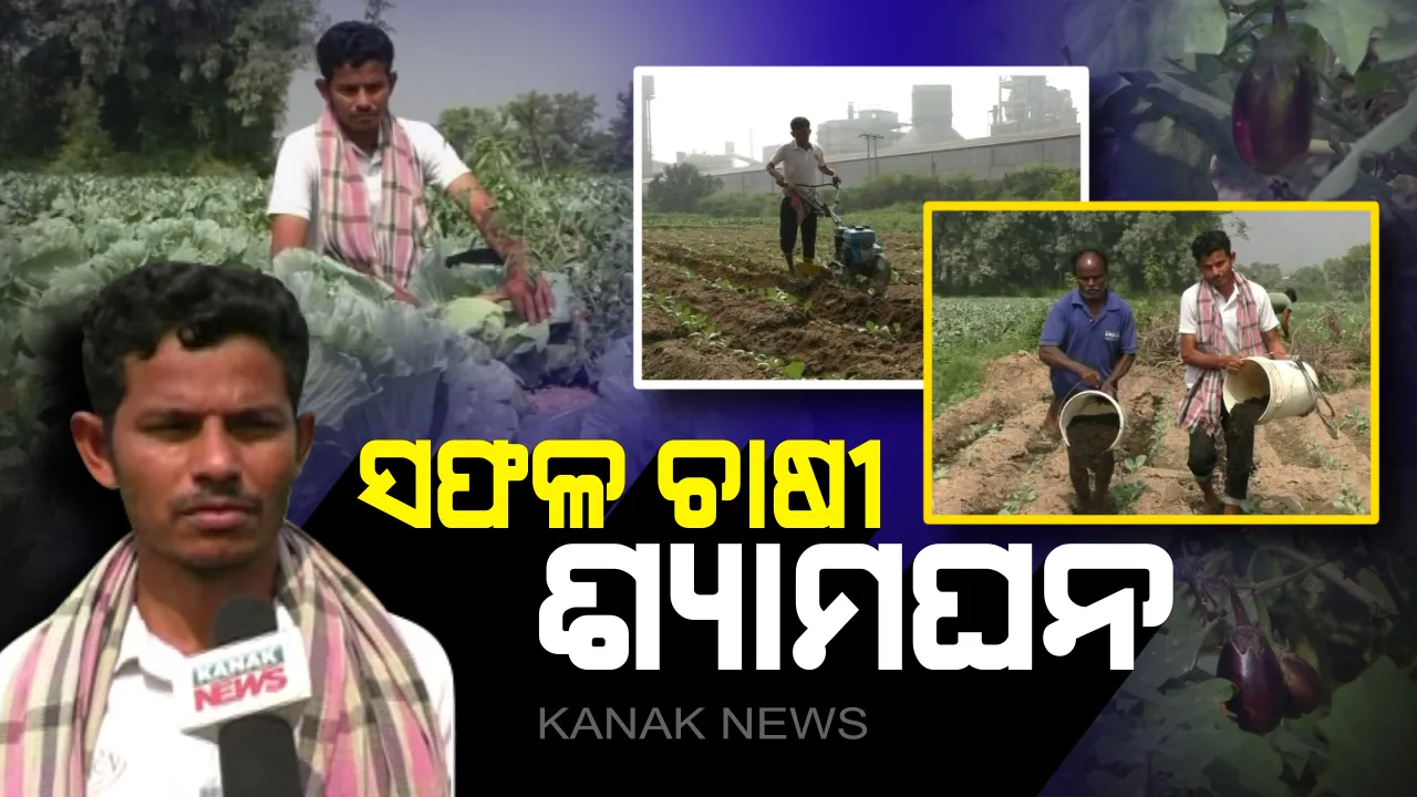  ଚାଷୀ ଆତ୍ମହତ୍ୟାର ଉପତ୍ୟକା ପାଇଁ ଶ୍ୟାମଘନଙ୍କ ସଞ୍ଜିବନୀ ! ବିଲରେ ବିନା ସାର, ବିଷରେ ଫଳାଉଛନ୍ତି ଫସଲ । ଜୈବିକ ପଦ୍ଧତିରେ ଚାଷ କରି ଚର୍ଚ୍ଚାରେ ବରଗଡ ଚାଷୀ