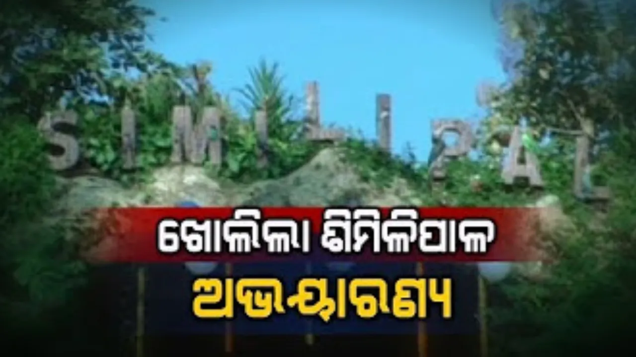  ପର୍ଯ୍ୟଟକଙ୍କ ପାଇଁ ଖୁସି ଖବର: ଆଜିଠାରୁ ଖୋଲିଲା ଶିମିଳିପାଳ ଜାତୀୟ ଉଦ୍ୟାନ;ଭିତରେ ବଣଭୋଜି, ମଦ୍ୟପାନ ଓ ପ୍ଲାଷ୍ଟିକ ବ୍ୟବହାର ନିଷେଧ