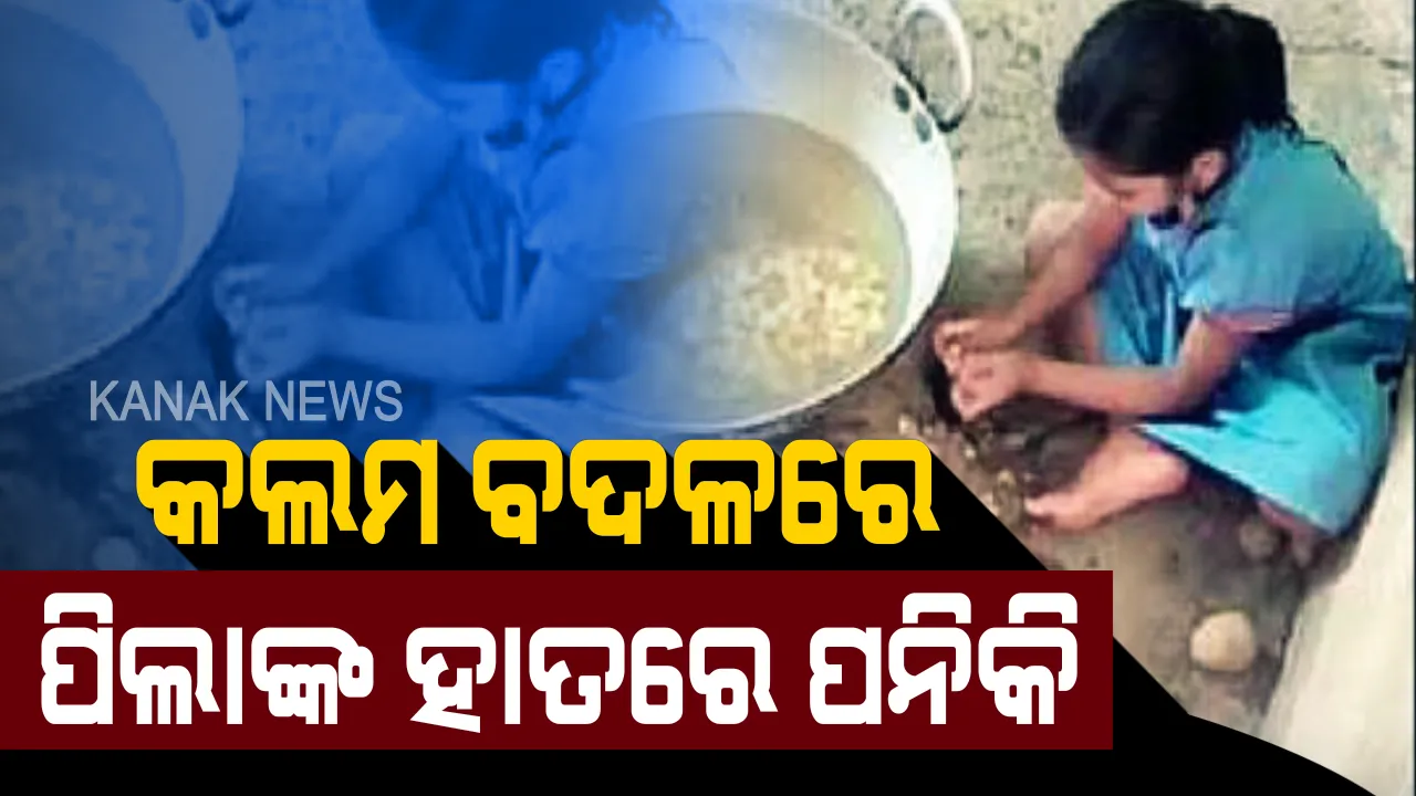  ସୁନ୍ଦରୀ ବିଦ୍ୟାଳୟର ଅସୁନ୍ଦର କଥା ! ପାଠପଢା ବଦଳରେ ପରିବାର କାଟୁଛନ୍ତି ଛାତ୍ରୀ । ପ୍ରଧାନଶିକ୍ଷୟିତ୍ରୀଙ୍କ ହୁକୁମଗିରି, କାମ ନକଲେ ମିଳୁଛି ମାଡ ଧମକ