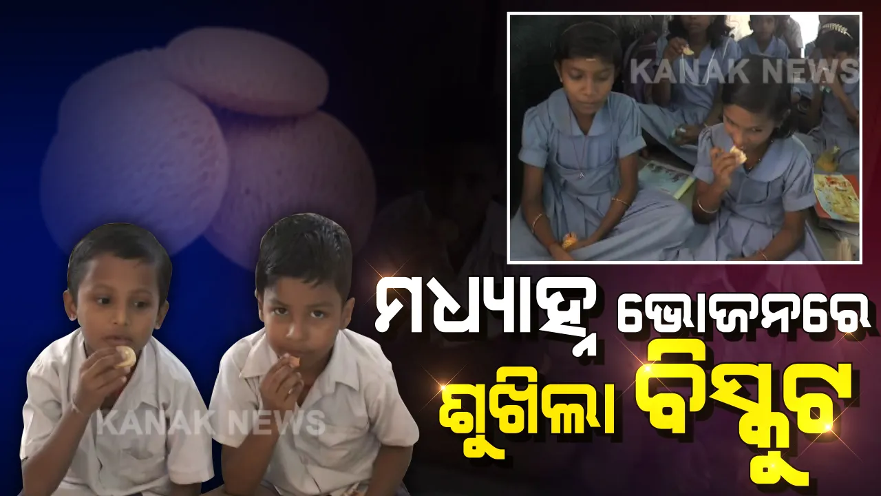  ଏ କେମିତିକା ମଧ୍ୟାହ୍ନ ଭୋଜନ? ଭାତ, ଡାଲି ବଦଳରେ ସ୍କୁଲରେ କୁନି କୁନି ଛାତ୍ରଛାତ୍ରୀଙ୍କୁ ମିଳୁଛି ବିସ୍କୁଟ ।