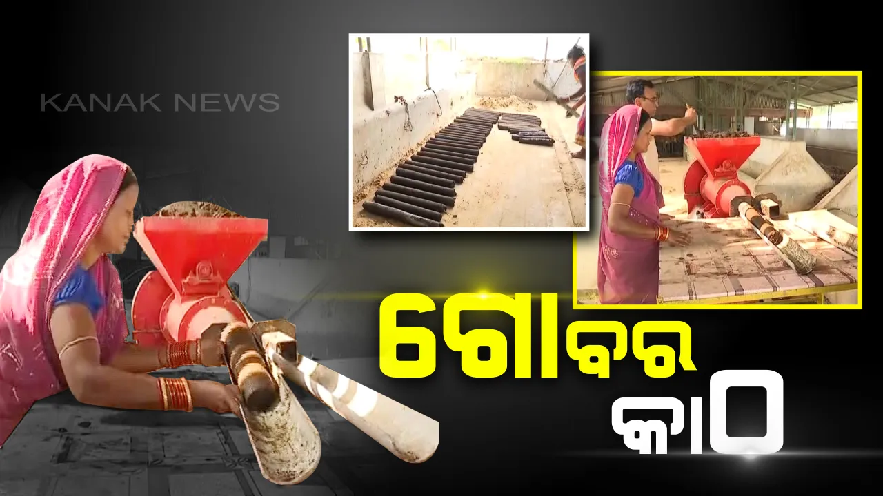  ଗୋବରକୁ ଉପଯୋଗୀ କରିବାକୁ କଟକ ଗୋଶାଳା ପକ୍ଷରୁ ଅଭିନବ ପ୍ରୟାସ : ଗୋବରରୁ ତିଆରି ହେଉଛି କାଠ, ଶବଦାହରେ ବ୍ୟବହାର କରାଯିବା ସହ ଲୋକଙ୍କୁ ମିଳୁଛି ରୋଜଗାର