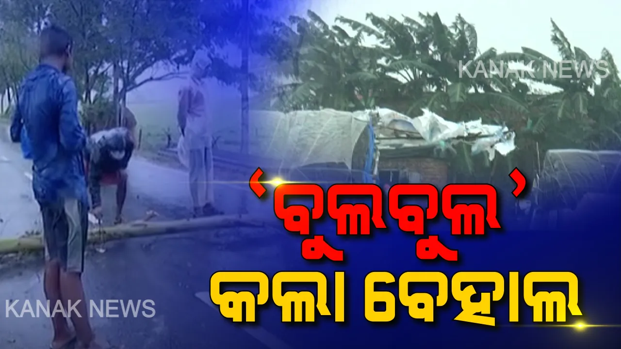  ବେହାଲ କଲା ‘ବୁଲବୁଲ୍’ । ବର୍ଷା ପବନ ମାଡରେ ଭାଙ୍ଗିଲା ଘର, ଉପୁଡ଼ି ପଡ଼ିଲା ଗଛ । ଓଡ଼ିଶା ସୀମାକୁ ଛୁଇଁ କରାଳ ଛାପ ଛାଡିଗଲା ବାତ୍ୟା ।