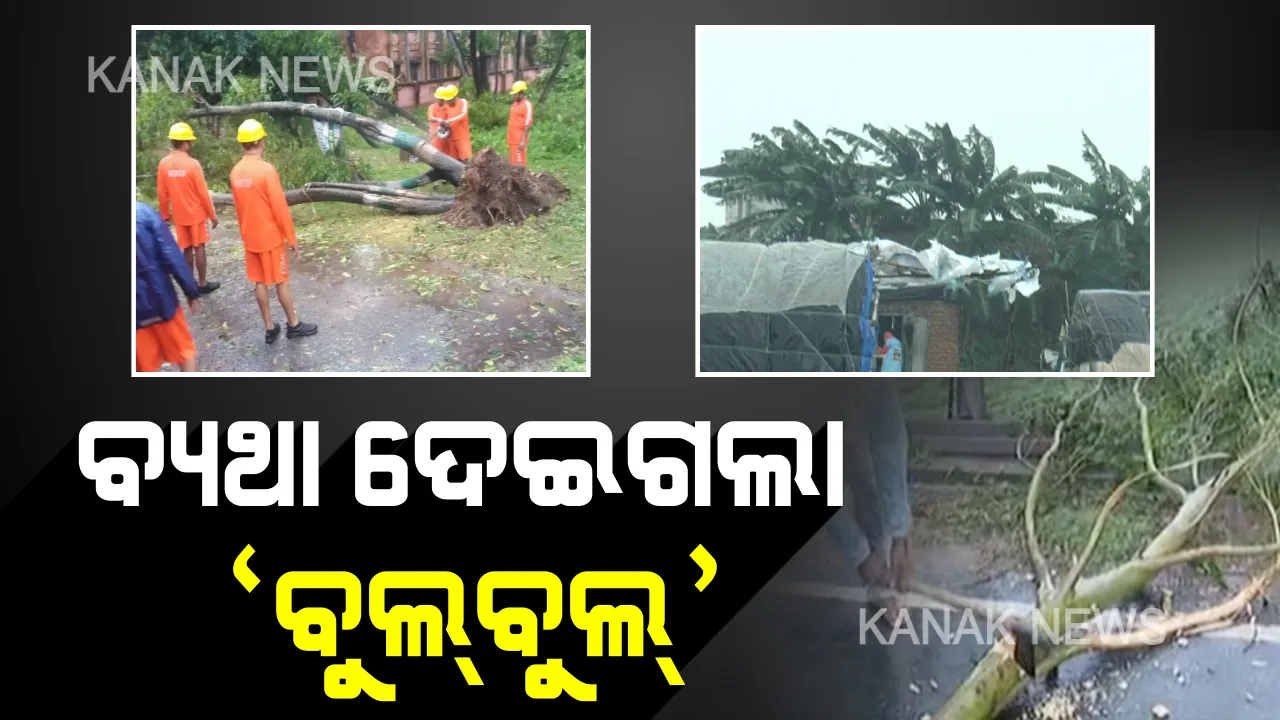  ବଙ୍ଗ ମୁହାଁ ‘ବୁଲବୁଲ୍’: ଓଡ଼ିଶା ଅତିକ୍ରମ କଲାବେଳେ ବାତ୍ୟା ଆଣିଲା ବିପତ୍ତି । ବୋଟ୍ ବୁଡ଼ିଲା, ଘର ଭାଙ୍ଗିଲା, ଉପୁଡ଼ି ପଡ଼ିଲା ଗଛ