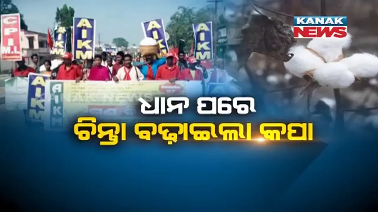  କପା ପାଇଁ ଖପ୍ପା ! ଧାନ ପରେ କପା ବିକ୍ରି ନେଇ ଅସନ୍ତୋଷ । ମୂଲ୍ୟବୃଦ୍ଧି ଦାବିରେ ରାସ୍ତାକୁ ଓହ୍ଲାଇଲେ ଚାଷୀ, ବିଧାନସଭାରେ ତାତି ।