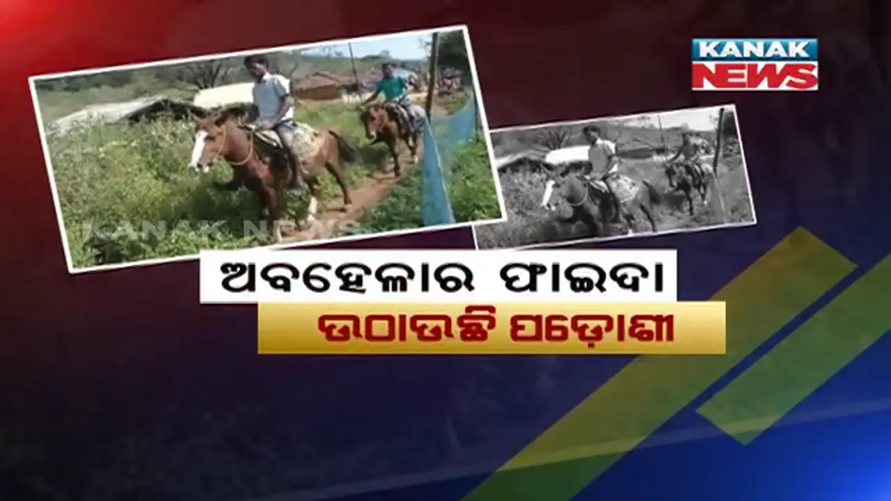  ଓଡିଶା ସୀମା ଭିତରେ ପଶୁଛି ଆନ୍ଧ୍ର । ମୌଳିକ ସୁବିଧାରୁ ବଞ୍ଚିତ ଗ୍ରାମ ଗୁଡିକରେ ଅନୁକମ୍ପା ଦେଖାଇ କରୁଛି ଅକ୍ତିଆର