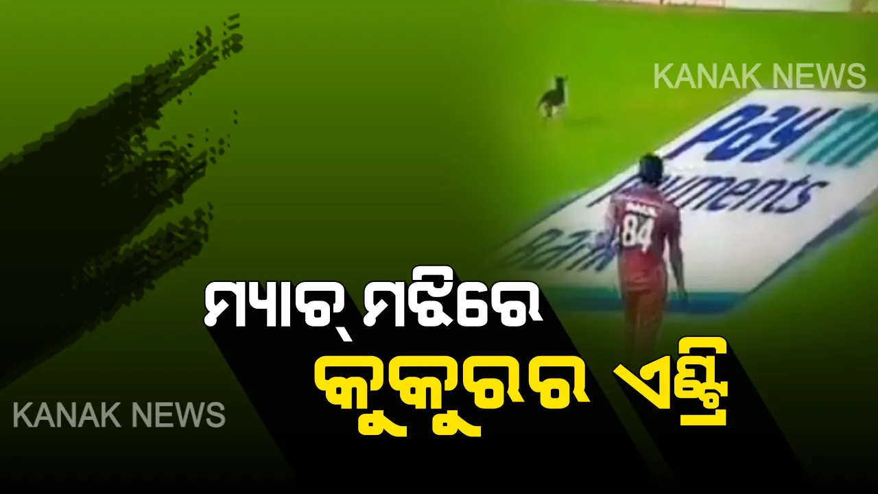  ଭାରତ-ୱେଷ୍ଟଇଣ୍ଡିଜ୍ ମ୍ୟାଚ୍ ମଝିରେ ପଶିଆସିଲା କୁକୁର । ପଡିଆ ଭିତରେ ଦୌଡିଲା, କିଛି ସମୟ ପାଇଁ ଖେଳ ଅଟକିଲା ।