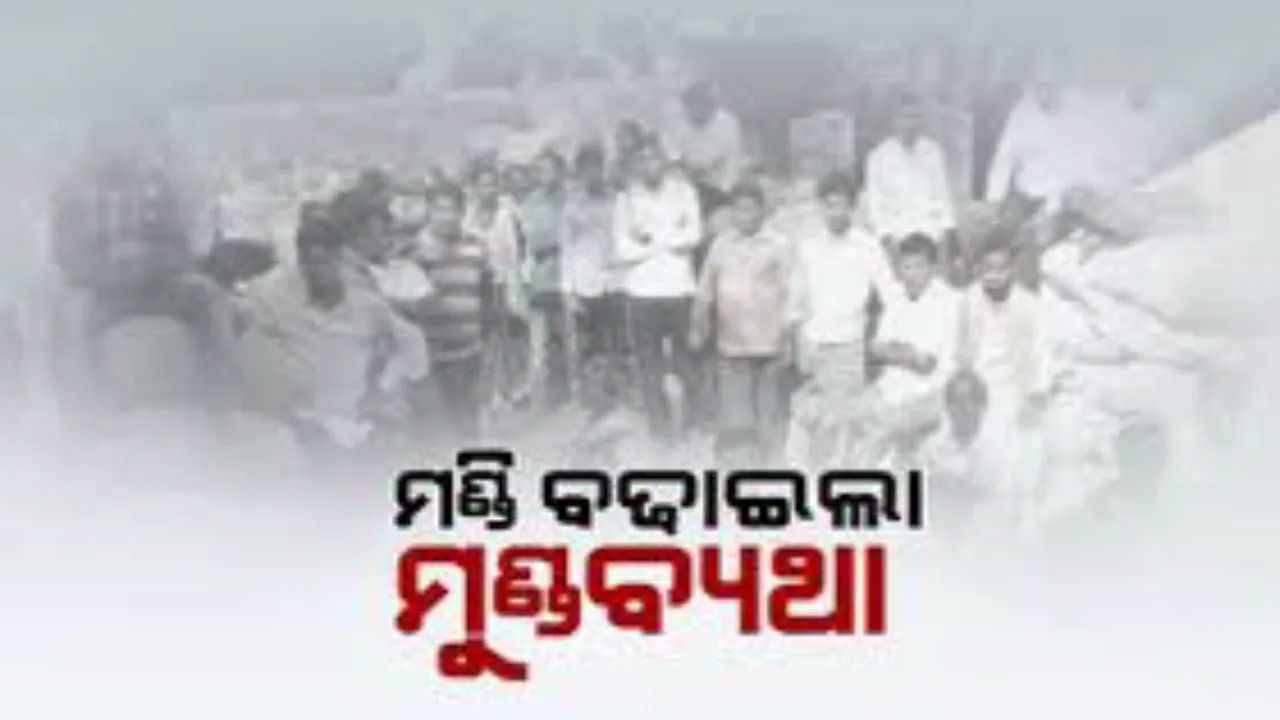  ସରିଲାଣି ଅମଳ ହେଲେ ଏଯାଏ ଖୋଲିନି ମଣ୍ଡି ! ସୁନ୍ଦରଗଡରେ ଚାଷୀଙ୍କୁ ଘାରିଛି ଧାନ ବିକ୍ରି ଚିନ୍ତା