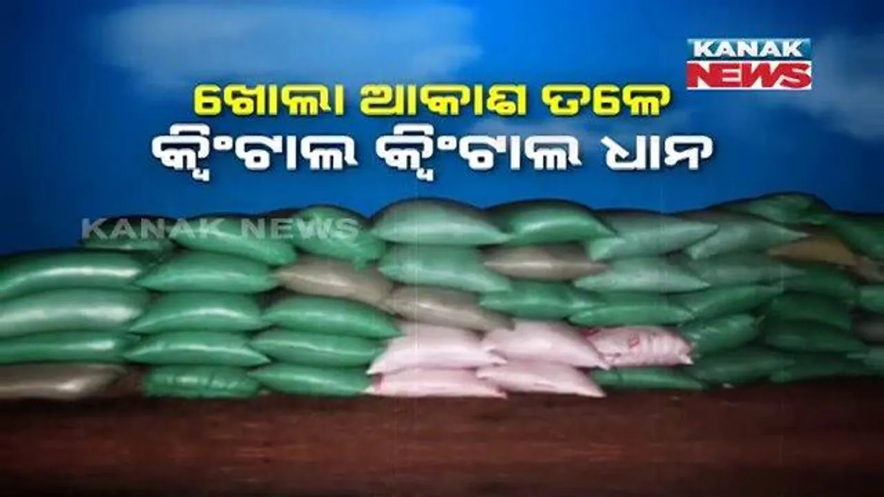  ସମ୍ଭାବ୍ୟ ବାତ୍ୟାକୁ ନେଇ ଆତଙ୍କରେ ଯାଜପୁର ଚାଷୀ: ଅମଳ ହୋଇ ଖଳାରେ ପଡିରହିଛି କ୍ୱିଂଟାଲ କ୍ୱିଂଟାଲ ଧାନ; ହୋଇପାରିନି ଧାନ ସଂଗ୍ରହ