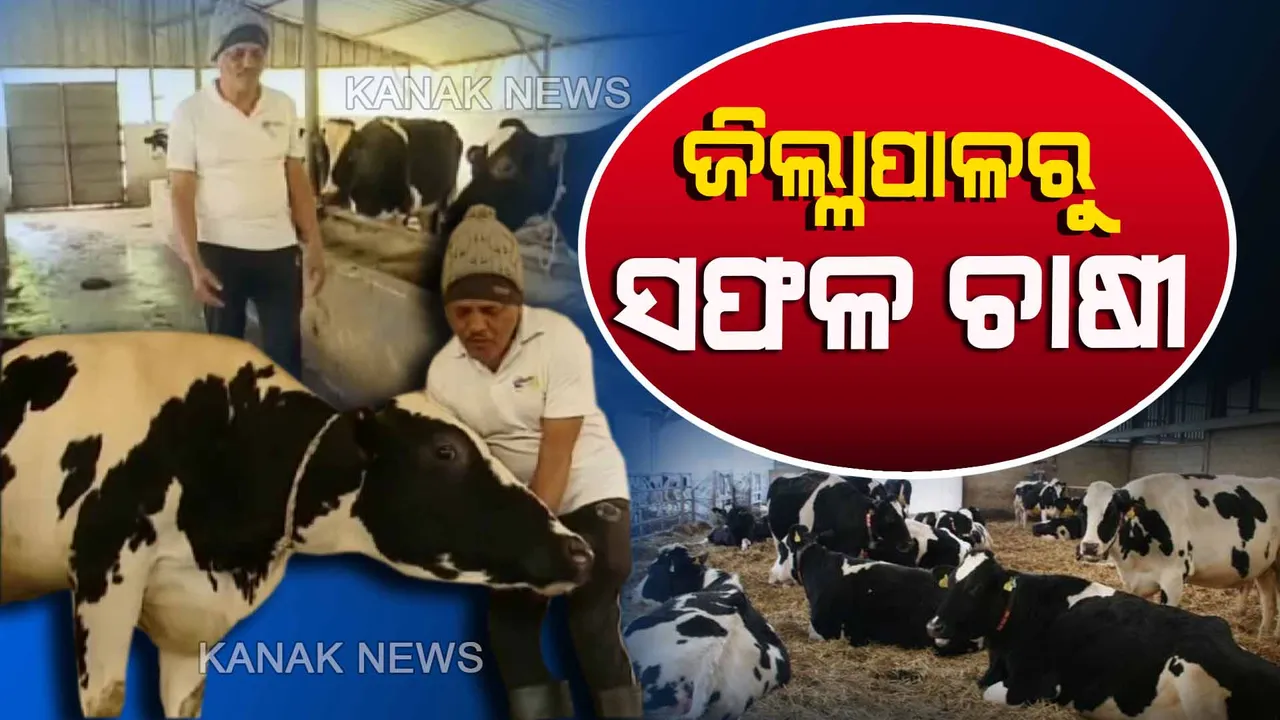  ଯୁବପୀଢିଙ୍କ ପାଇଁ ଉତ୍ସର୍ଗ ଗଦାଧରଙ୍କ ଜୀବନ...ଦକ୍ଷ ପ୍ରଶାସନିକ ଅଧିକାରୀରୁ ହେଲେ ସଫଳ ଚାଷୀ...ଗୋପାଳନ କରି ନିଜେ ଲାଭବାନ ହେବା ସହ ଅନ୍ୟଙ୍କୁ ଦେଖାଉଛନ୍ତି ବଞ୍ଚିବାର ରାହା