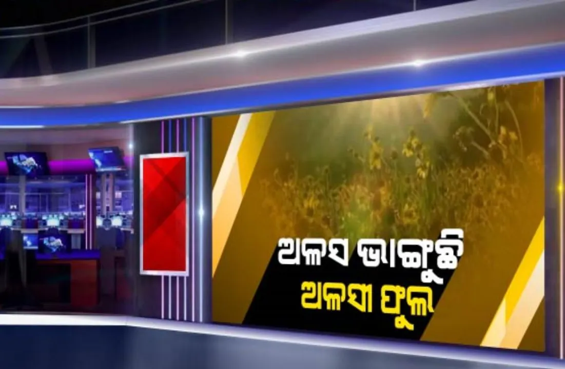  ଅଳସ ଭାଙ୍ଗୁଛି ‘ଅଳସୀ’ ଫୁଲ...କୋରାପୁଟରେ ଅଳସି ଫୁଲର ସୌନ୍ଦର୍ଯ୍ୟ କିଣୁଛି ମନ...ପର୍ଯ୍ୟଟକଙ୍କ ପାଇଁ ପାଲଟିଛି ଆକର୍ଷଣ
