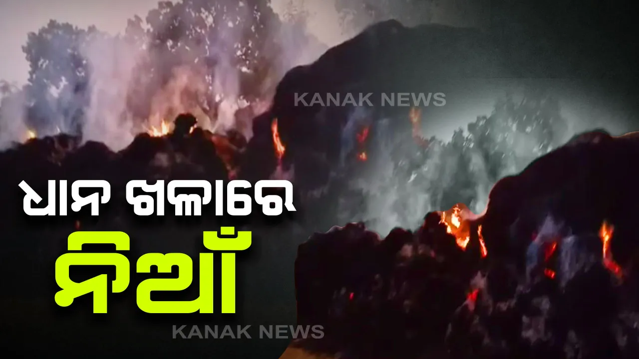  ଧାନ ଖଳାରେ ନିଆଁ : ବୌଦ୍ଧ ସିନ୍ଦୁରପୁର ଗାଁରେ ହୁତୁ ହୁତୁ ହୋଇ ଜଳିଗଲା ୭ ଏକର ଜମିର ଧାନ, ଛାରଖାର ହୋଇଗଲା ଚାଷୀର ବର୍ଷକର ପରିଶ୍ରମ