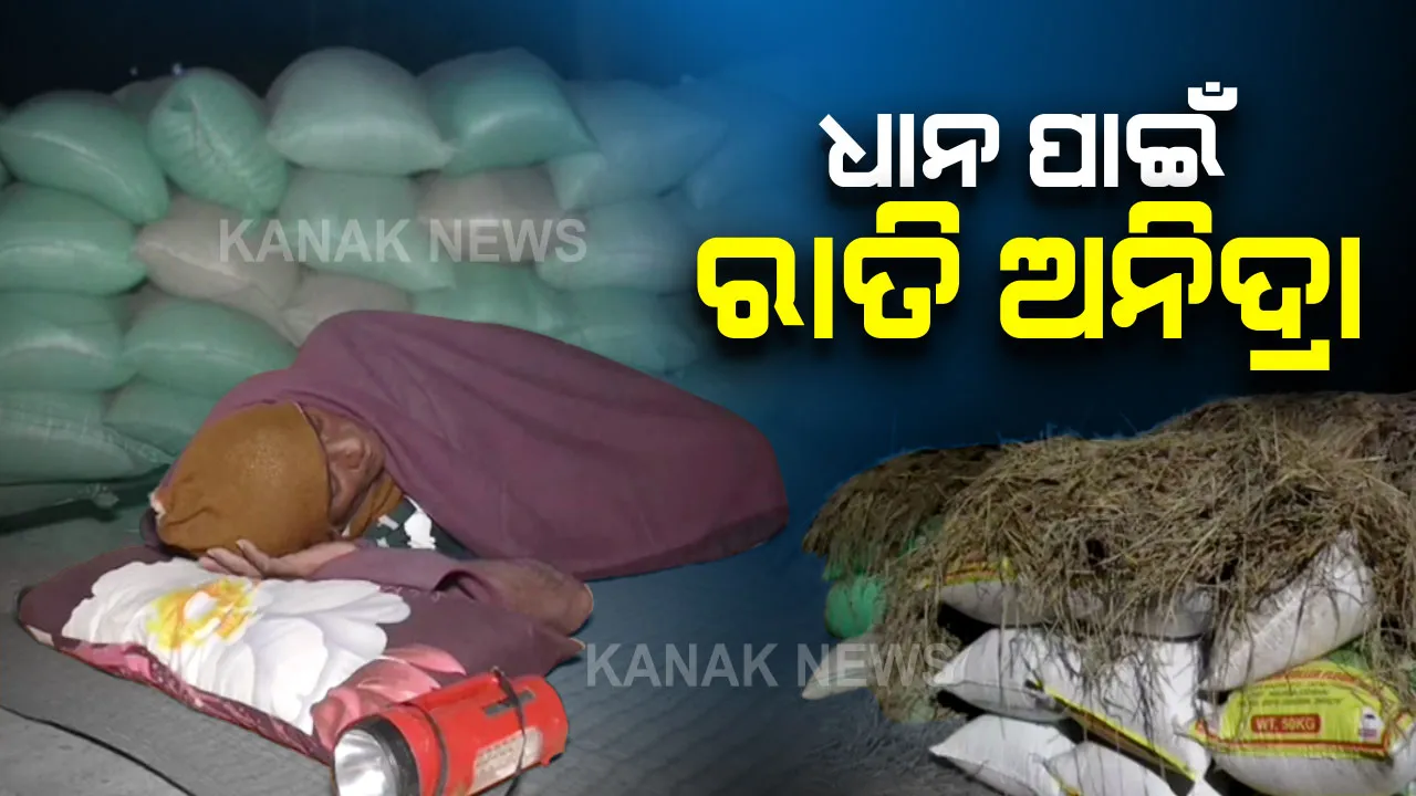  ବାଙ୍କୀ ସବଡିଭିଜନରେ ଖୋଲୁନି ମଣ୍ଡି, ବିକ୍ରି ହୋଇପାରୁନି ଧାନ : ଶୀତ କାକରରେ ପଡିରହିଛି ଚାଷୀ, ଶୀଘ୍ର ପଦକ୍ଷେପ ନ ନେଲେ ଦଲାଲ ମାତିବା ଆଶଙ୍କା